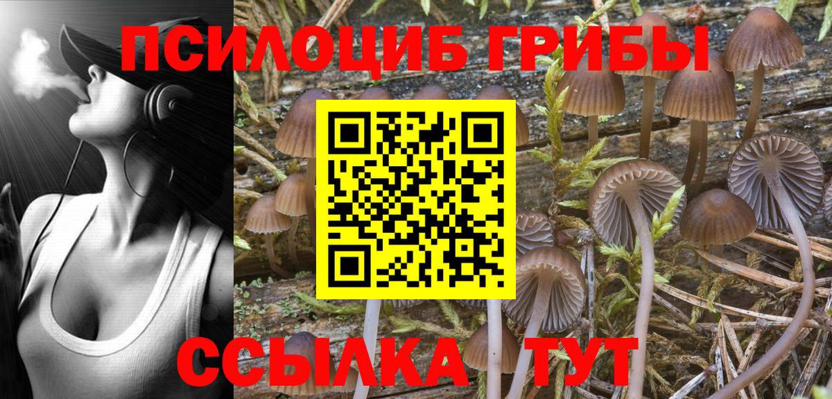 Галлюциногенные грибы Psilocybine cubensis Сухой Лог